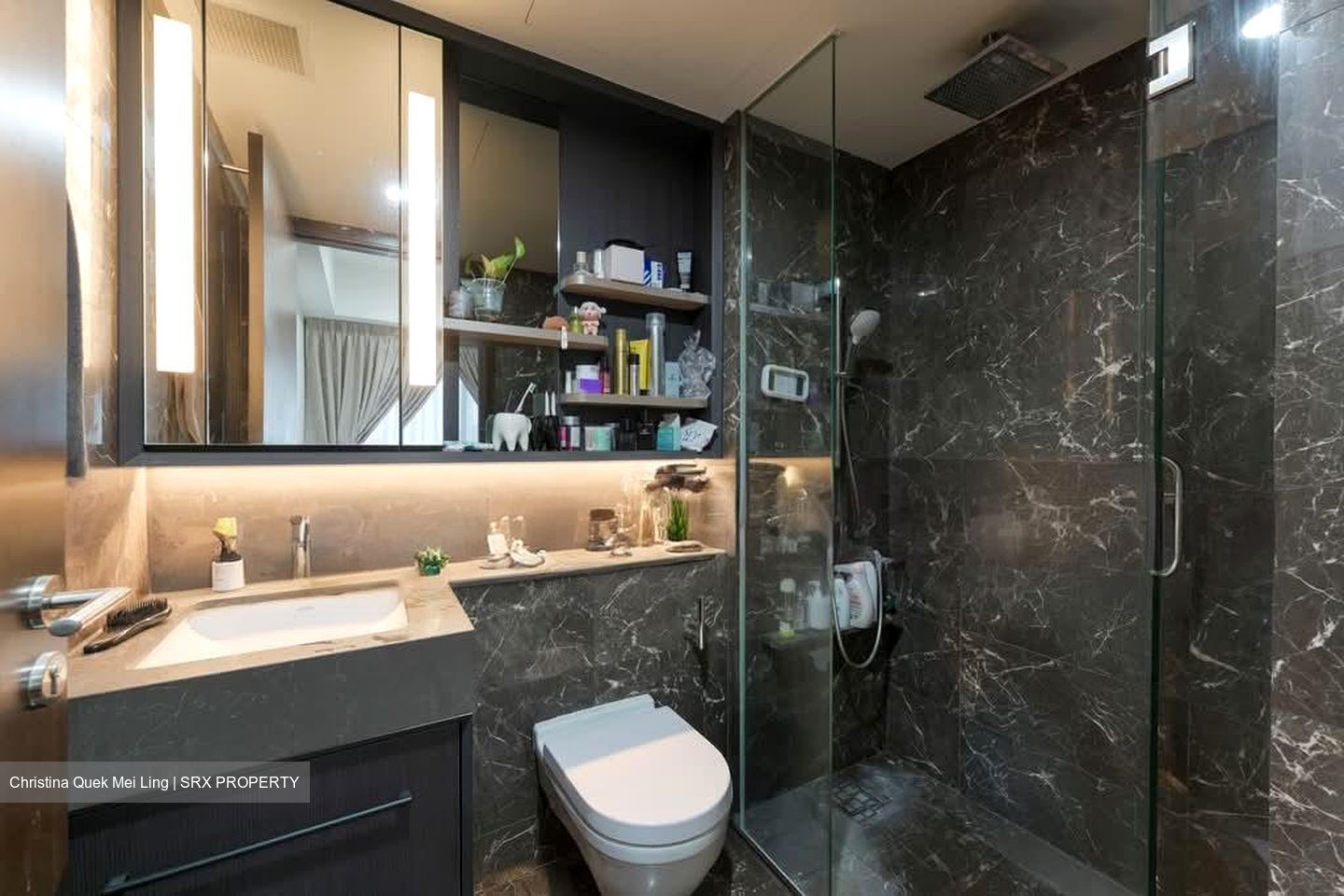 Neu At Novena (D11), Apartment #556204761
